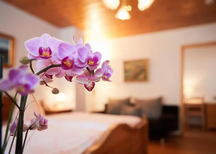 & Steppacher Friedenweiler