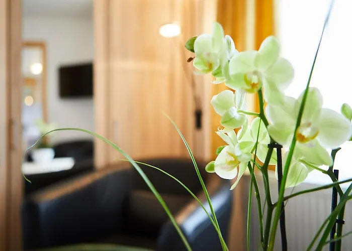 Otel & Steppacher Friedenweiler